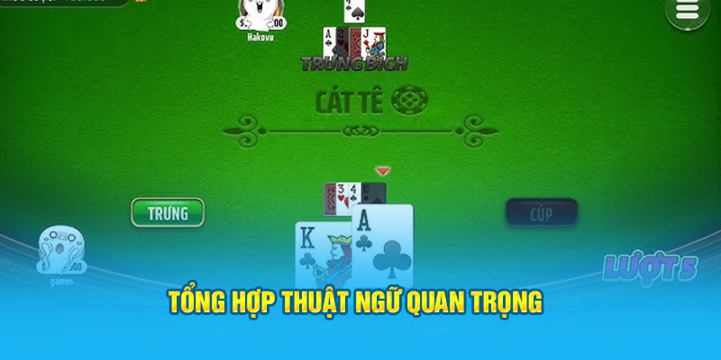 Tổng hợp thuật ngữ quan trọng